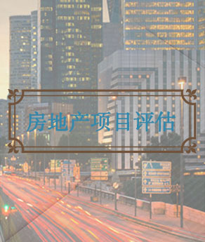 淄博房地产项目评估