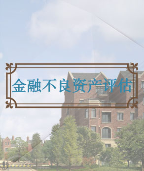 淄博金融不良资产评估